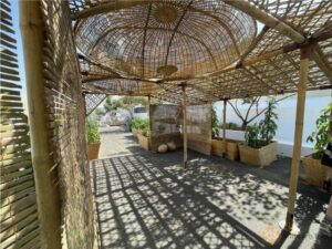 Britto_Pakghor_Palan_diriyah-contemporary-art-biennale7