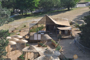 Britto_Pakghor_documenta-15_17