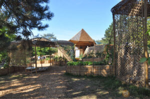 Britto_Pakghor_documenta-15_19