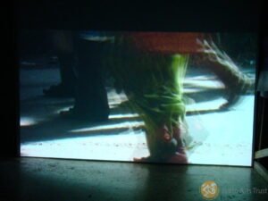 BAT_38_WKS_2008_OPN_IMG_002
