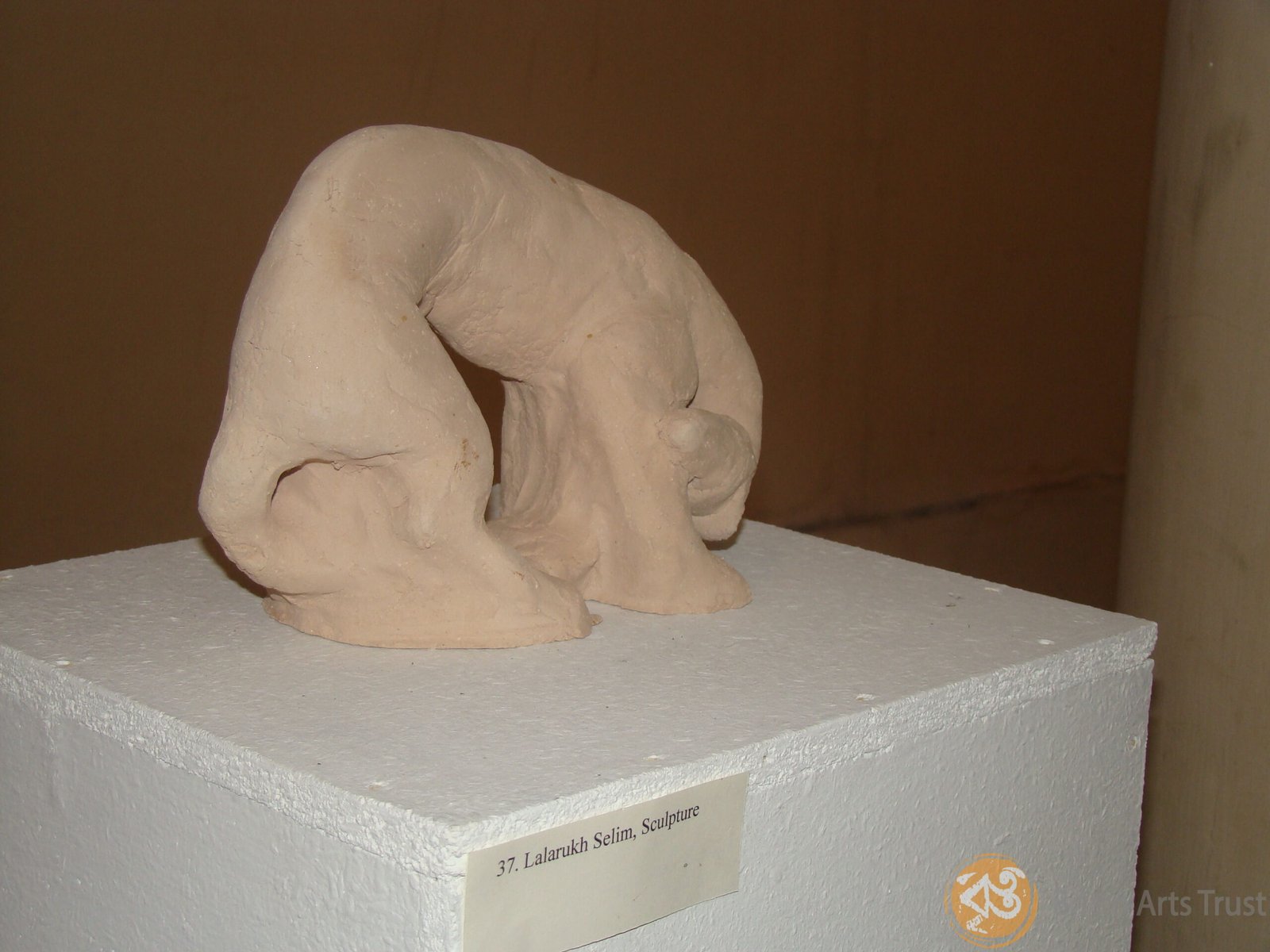 DSC08746